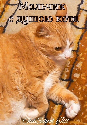 Мальчик с душою кота