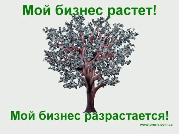 Как в лесу налоги собирали