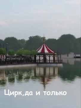 Цирк, да и только