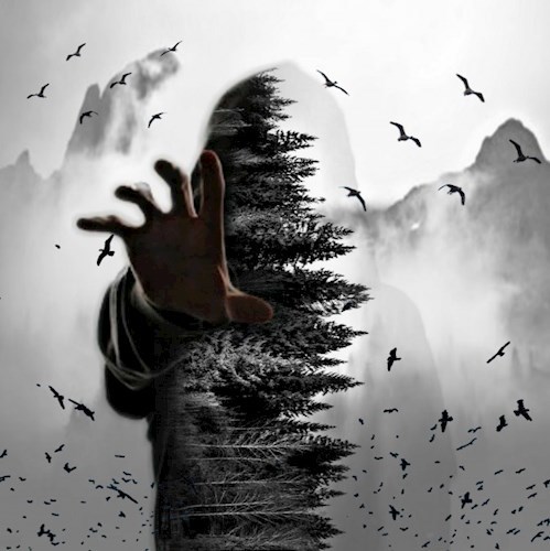 Человек по имени Никто