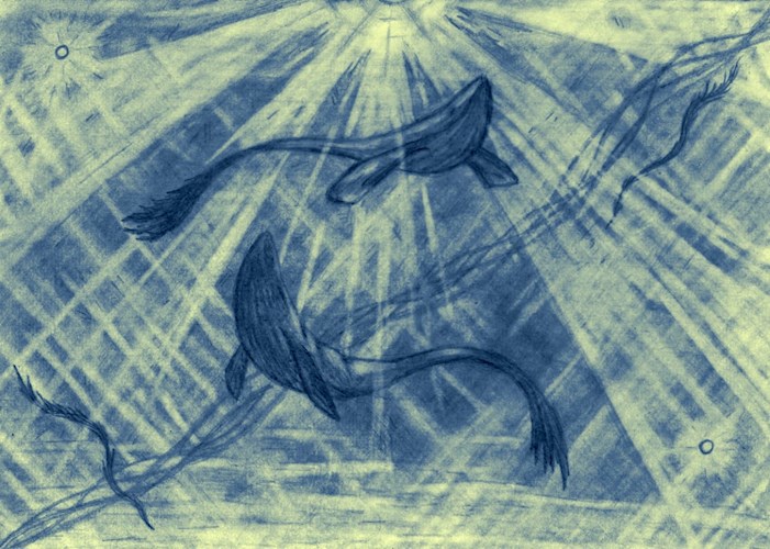 Утро после грозы