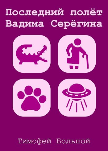 Последний полёт Вадима Серёгина