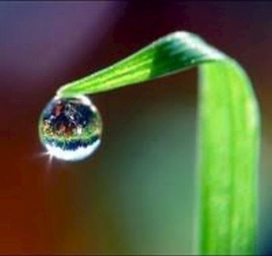 Капелька счастья