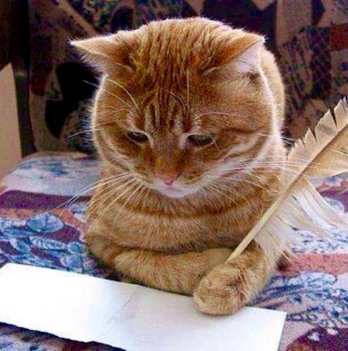 Неистребимая тяга к графоманству.