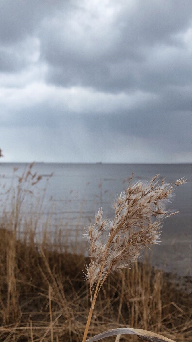 Прощание с городом
