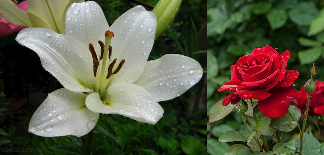 Времена года.