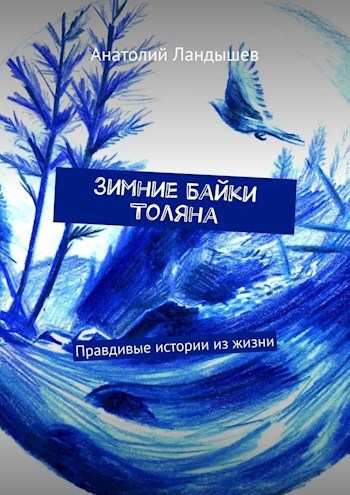 Зимние байки Толяна