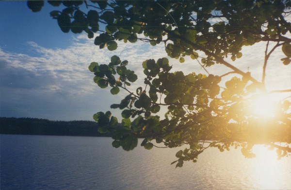 Сестрорецк