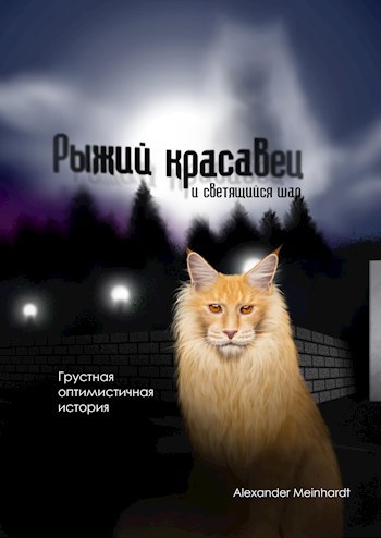 Рыжий красавец и светящийся шар.