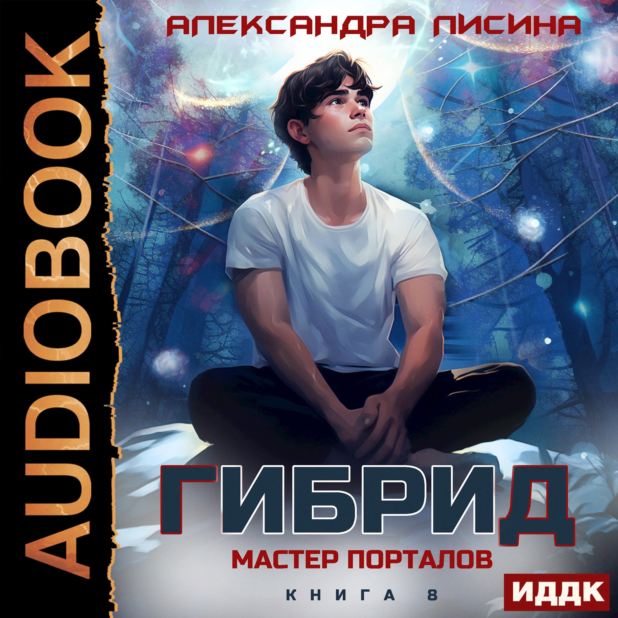 8. Мастер порталов аудио