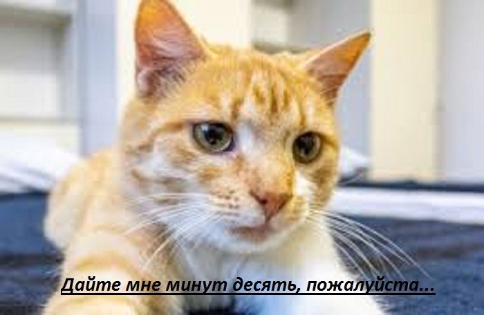 Дайте мне минут десять, пожалуйста...
