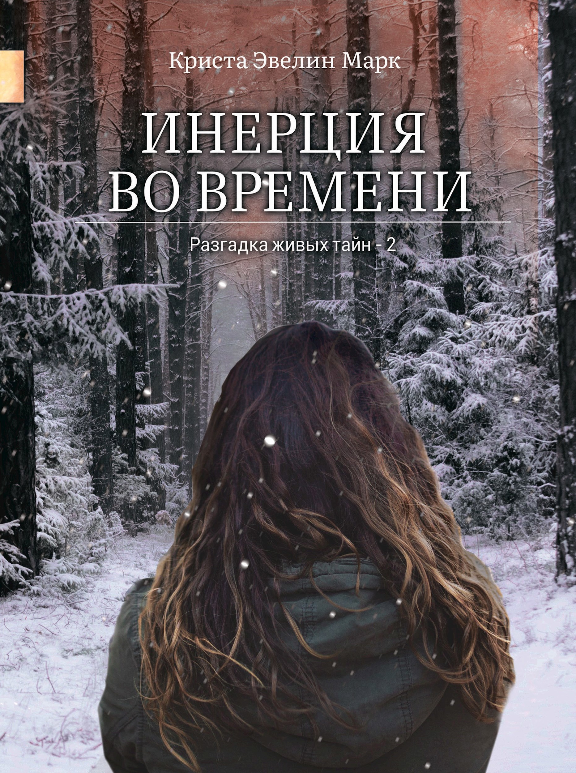 Инерция во времени