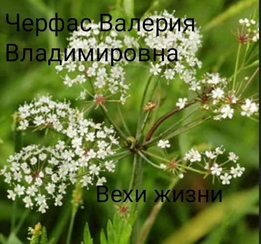 Вехи жизни