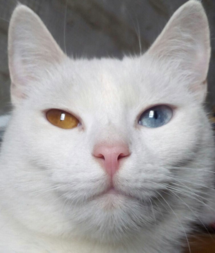 Перламутровая сказка Часть3