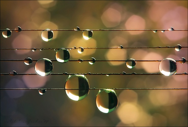 Полотна Осени