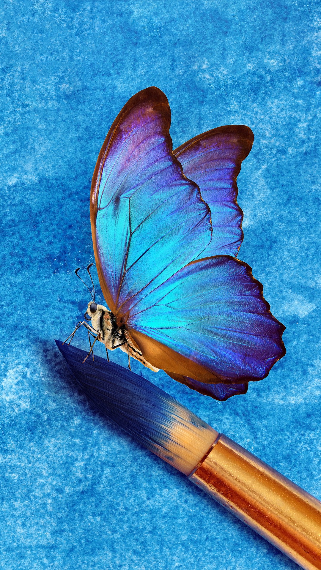 Стеклянных бабочек пыльца