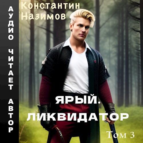 Ярый. Ликвидатор