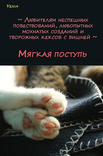 Мягкая поступь