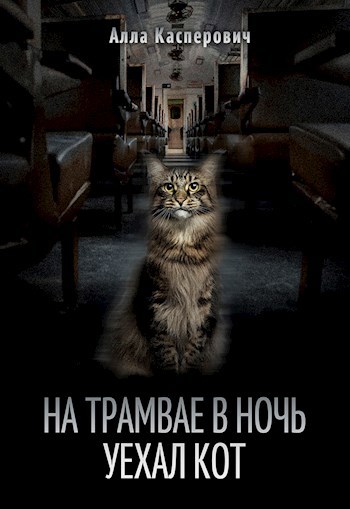 На трамвае в ночь уехал кот