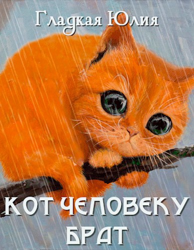 Кот человеку Брат