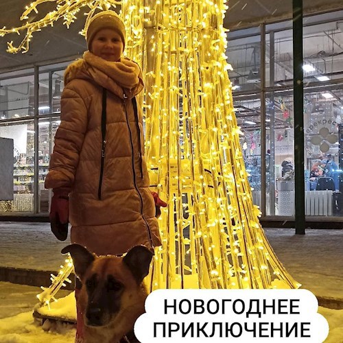 Новогоднее приключение Лизы.