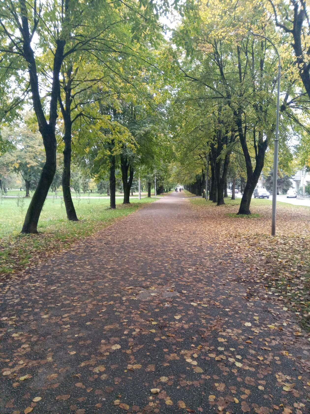 Другая Реальность