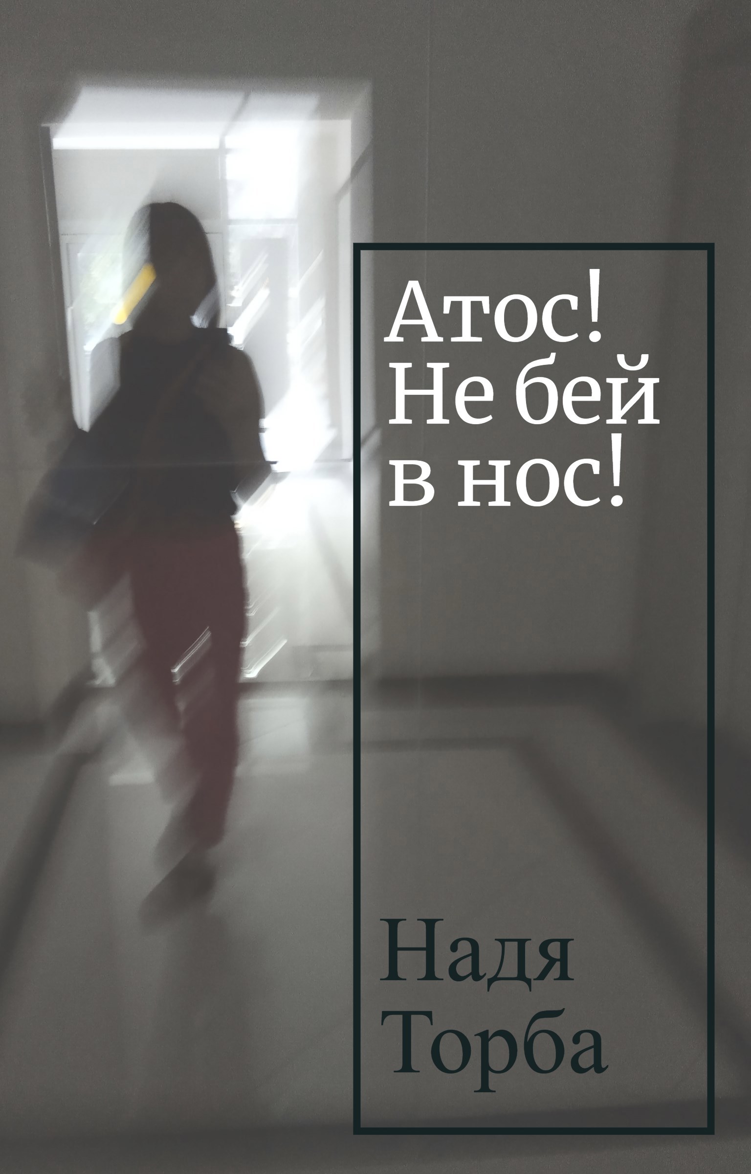 Атос! Не бей в нос!