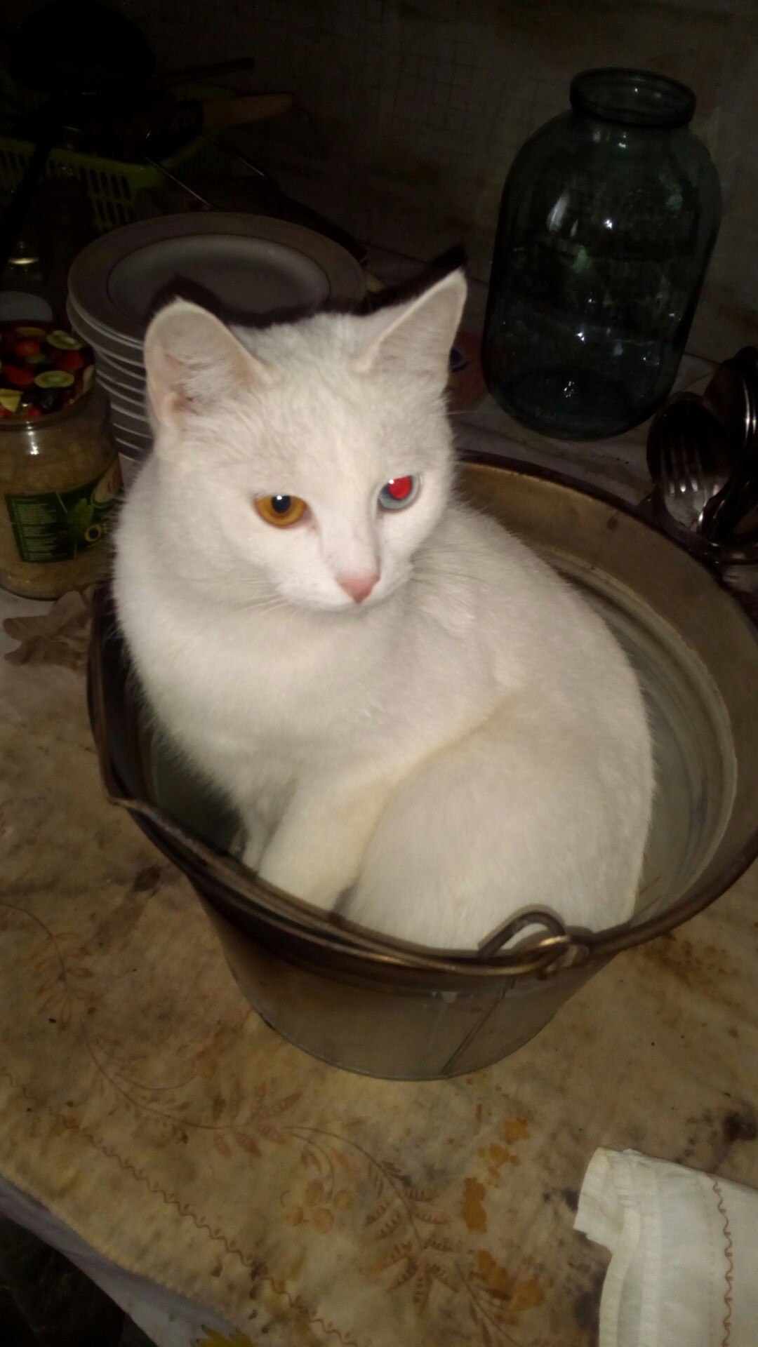 Перламутровая сказка часть 6