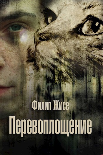 Перевоплощение