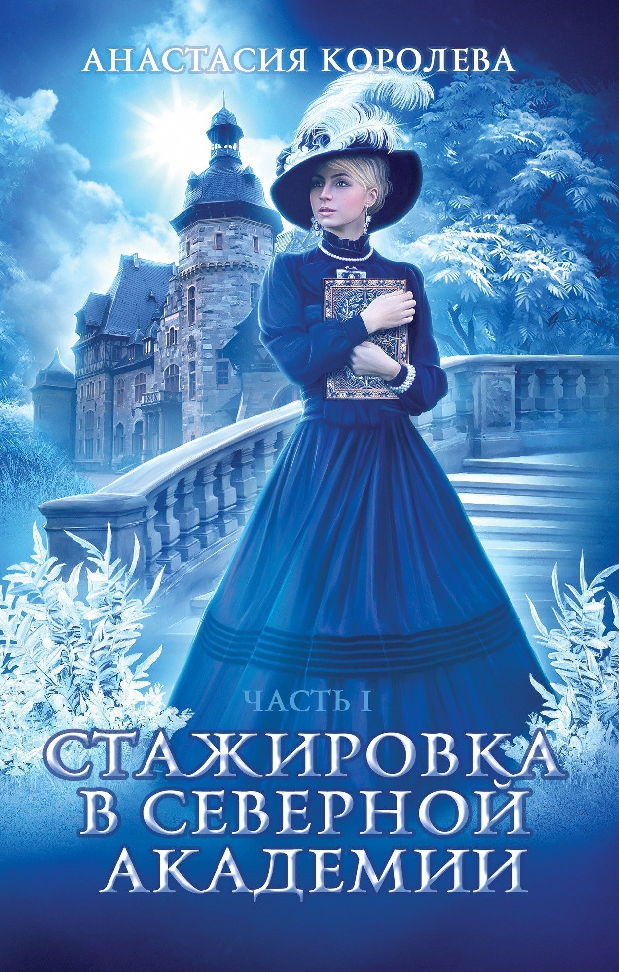 Стажировка в Северной Академии