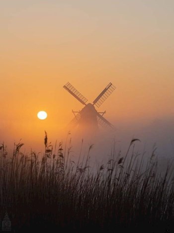 Остановить в комнатах часы