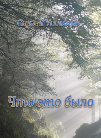 Что это было