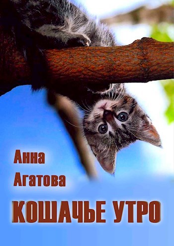 Кошачье утро