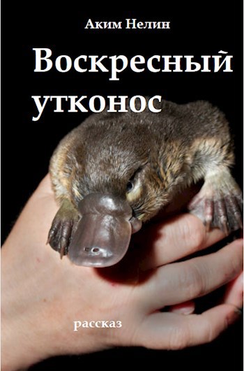 Воскресный утконос