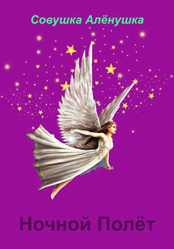 Ночной полёт