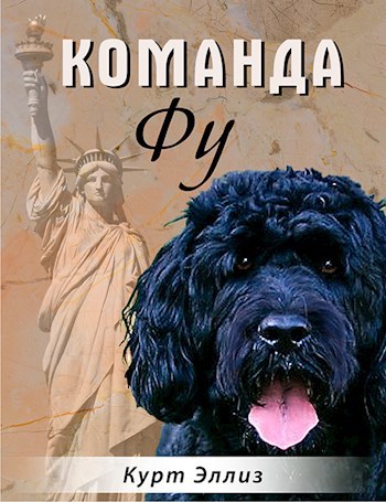 Команда Фу