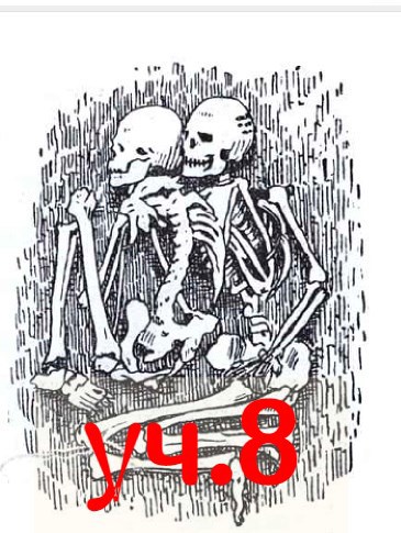 Восьмой участок кладбища