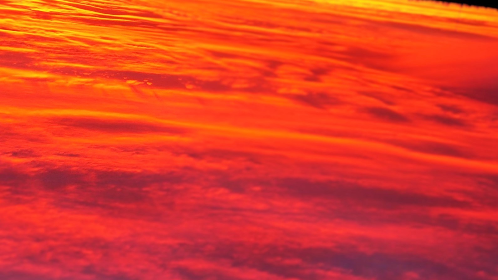 Глеб. Камуфлет