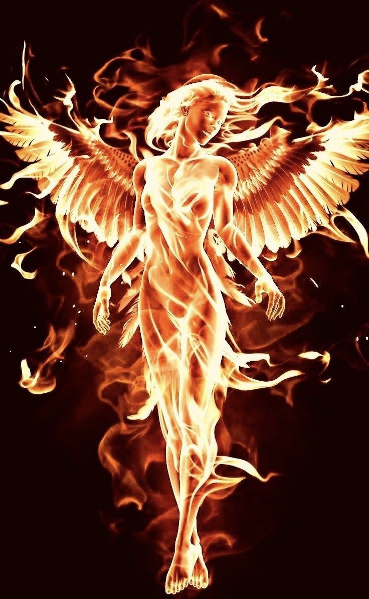 Феникс сердца