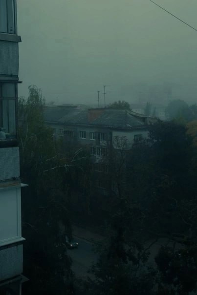 В осеннем лесу