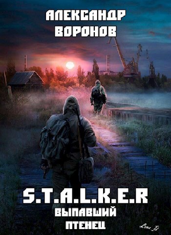 S.T.A.L.K.E.R.: Выпавший птенец