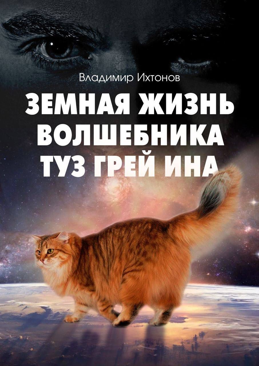 Земная Жизнь Волшебника Туз Грей Ина (книга 2)