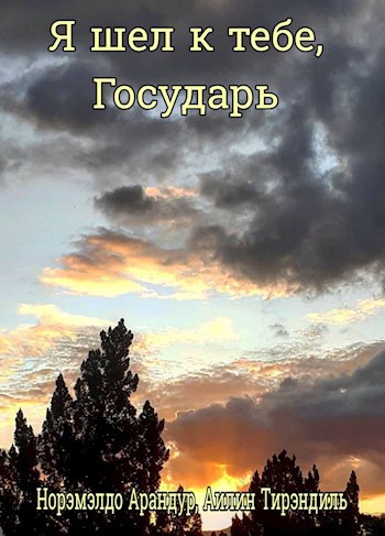Я шел к тебе, Государь