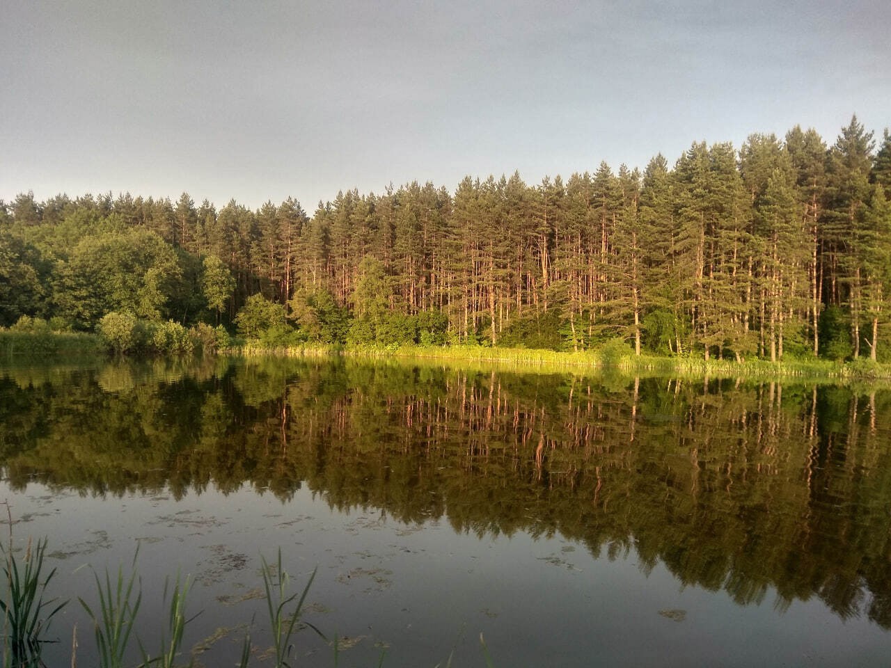 Рыбалка на Кузенёвском пруду